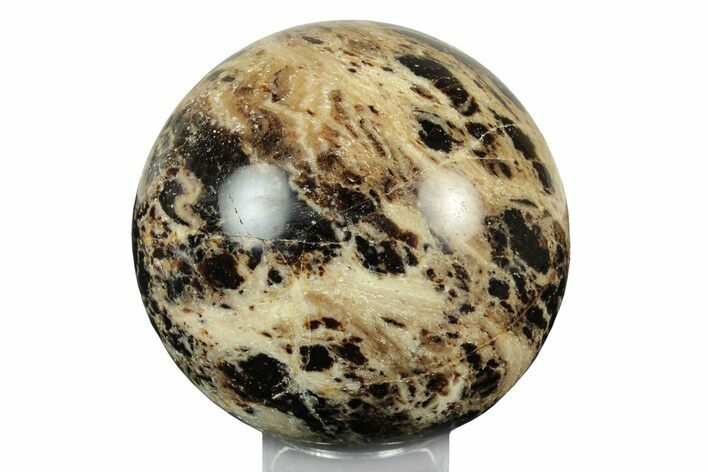 Polished Black Opal Sphere - Madagascar #250797